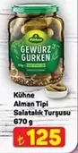 Gewürz Gurken