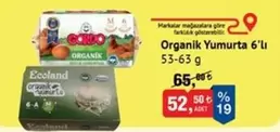Organik Yumurta 6'lı