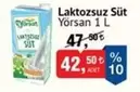 Laktozsuz Süt