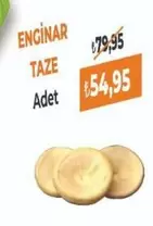 ENGİNAR