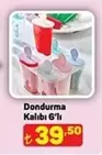 Dondurma Kalıbı 6'lı