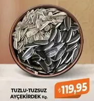 TUZLU-TUZSUZ AYÇEKİRDDEK