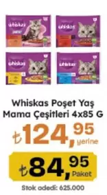 Yaş Mama Çeşitleri