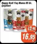 Yaş Mama