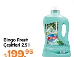 Bingo Fresh Çeşitleri