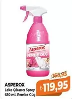 Leke Çıkarıcı Sprey