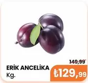 ERIK ANCELIKA
