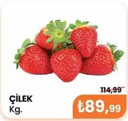 ÇİLEK Kg.