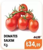 DOMATES SALKIM
