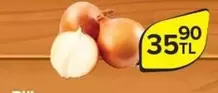 Soğan