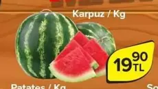 Karpuz