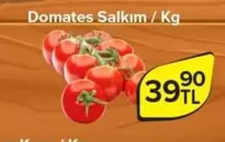 Domates Salkım