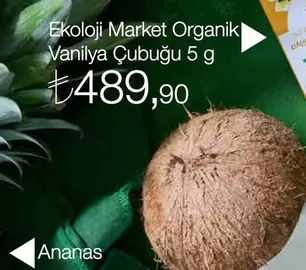 Organik Vanilya Çubuğu