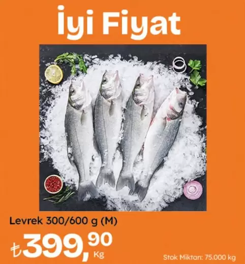 Levrek