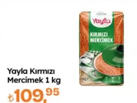 Kırmızı Mercimek