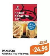 Kabartma Tozu