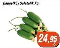 Salatalık Kg.