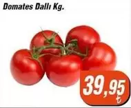 Domates