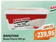 Beyaz - Peynir