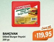 Dilimli Burger Peyniri