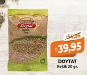Kekik