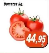 Domates
