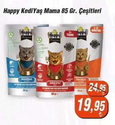 Happy Kedi Yaş Mama