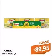Mısır