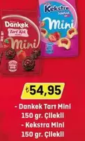 Tart Kek Mini