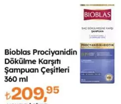 Procyanidin Dökülme Karşıtı Şampuan Çeşitleri