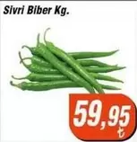 Sivri Biber Kg.