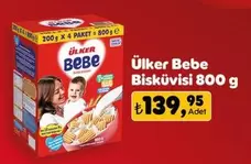 Bisküvisi