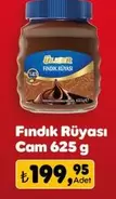 Fındık Rüyası
