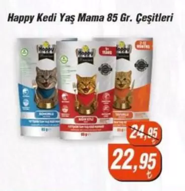 Yaş Mama