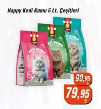 Kedi Kumu