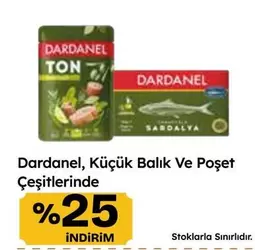 Ton Balığı