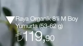 Boy - Organik 8'li M Yumurta