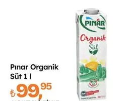Organik Süt