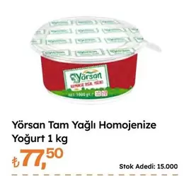 Tam Yağlı Homojenize Yoğurt