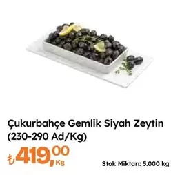 Gemlik Siyah Zeytin