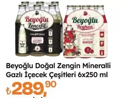 Doğal Zengin Mineralli Gazlı İçecek Çeşitleri