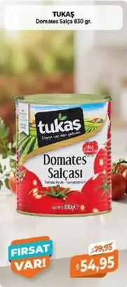 Domates Salçası