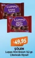 Luppo Mini Brown