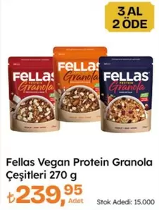 Vegan Protein Granola Çeşitleri