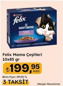 Felix Mama Çeşitleri