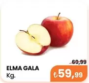 ELMA GALA Kg.