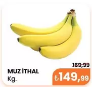 Muz İthal Kg.