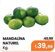 MANDALINA NATUREL