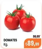 DOMATES Kg.