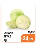 Beyaz - LAHANA BEYAZ Kg.